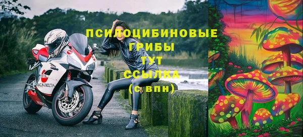 не бодяженный Осинники