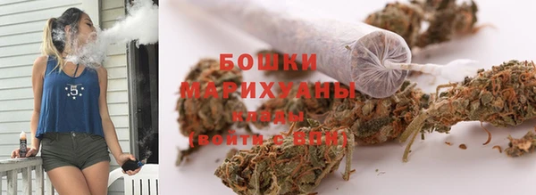 стаф Пестово