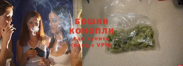 ГАЛЛЮЦИНОГЕННЫЕ ГРИБЫ Осташков