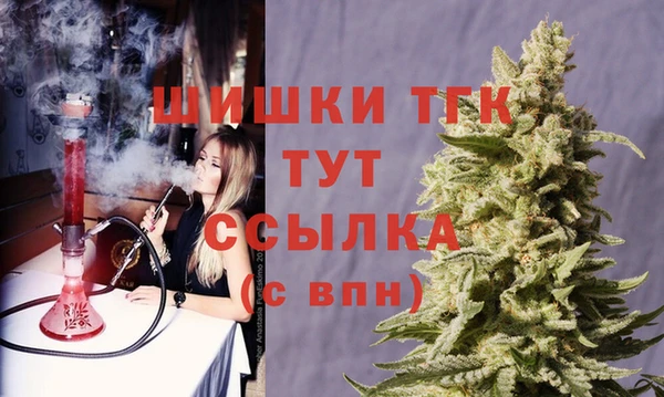 ГАЛЛЮЦИНОГЕННЫЕ ГРИБЫ Осташков