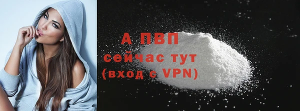 трава Пересвет