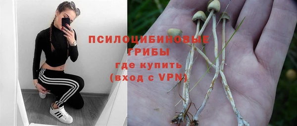 ГАЛЛЮЦИНОГЕННЫЕ ГРИБЫ Осташков