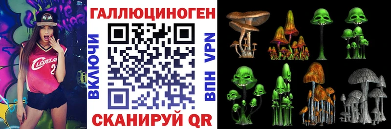 Галлюциногенные грибы Psilocybe Нововоронеж
