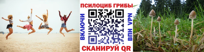 как найти   Нововоронеж  Псилоцибиновые грибы мухоморы 