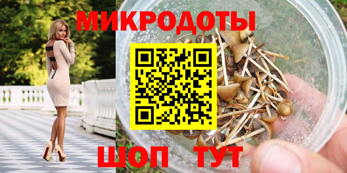 Псилоцибиновые грибы мицелий Нововоронеж