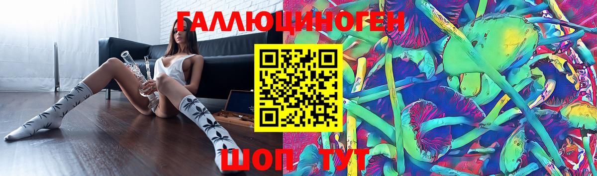Нововоронеж  Псилоцибиновые грибы прущие грибы  цены наркотик  Псилоцибиновые грибы Magic Shrooms  Вход с VPN 