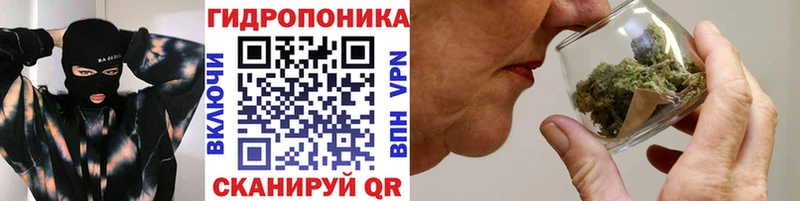 Канабис гибрид Нововоронеж